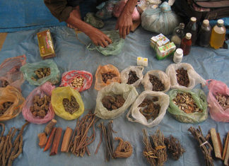 The Roots Of Alternative Medicine