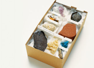 Fossils and minerals take the antiques market by storm