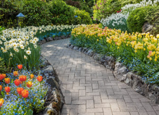 5 Gorgeous Garden Walkway Ideas for Your Home