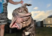 Martha is the biggest and the ugliest