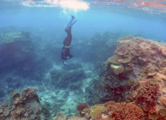 Australia’s Great Barrier Reef valued at $42B