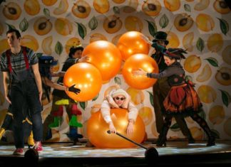 Harvard’s ART Institute suspends admissions