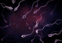 Sperm counts among western men have halved in last 40 years – study