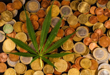 Are Canadian Marijuana Stocks a Boom or Bust Industry?