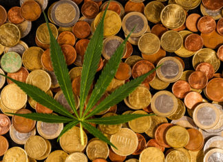 Are Canadian Marijuana Stocks a Boom or Bust Industry?