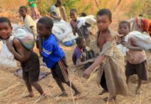 Report says half of Africa facing “serious levels of hunger”