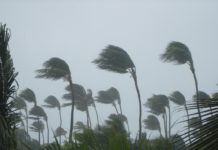 What Is a Tropical Storm? (And How It Works)