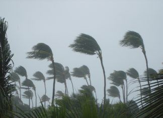 What Is a Tropical Storm? (And How It Works)