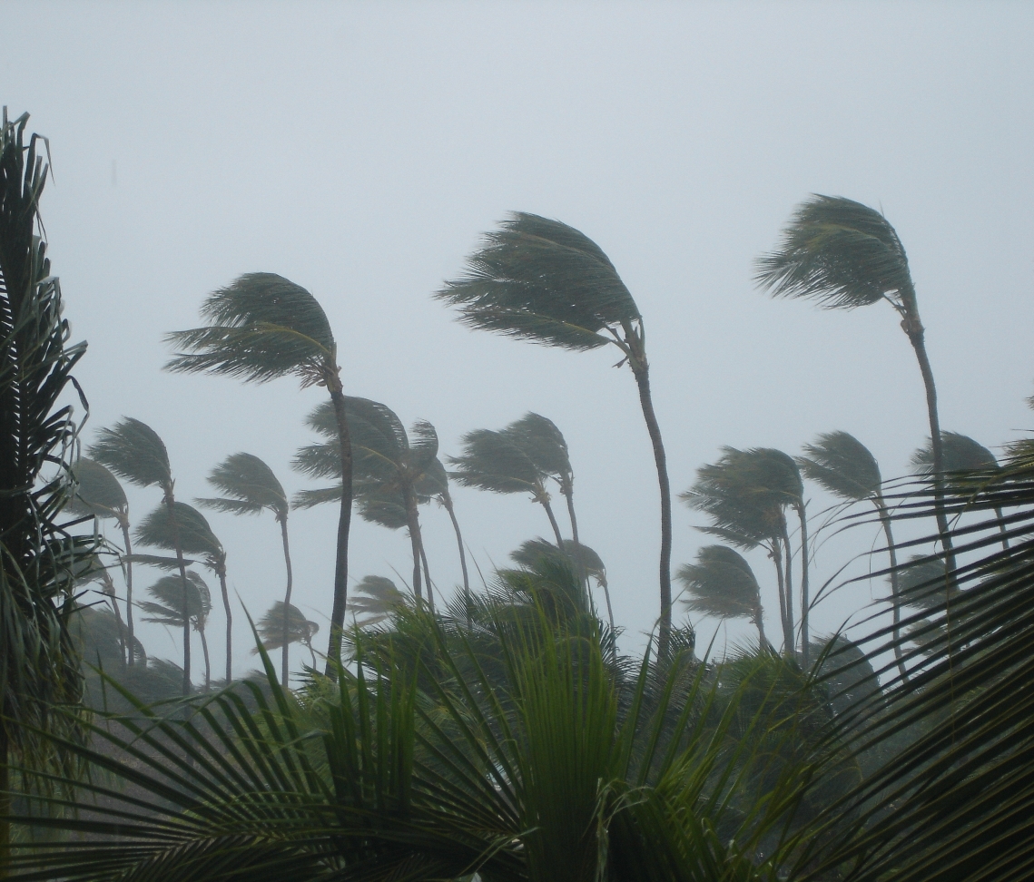 What Is a Tropical Storm? (And How It Works) - Orbi News