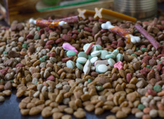 5 Things You Need to Know About Vitamins for Puppies