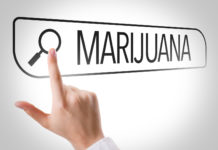 Legal Marijuana 101: How To Buy Cannabis Online