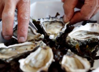 Vending machine in France serves up cold oysters