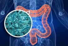 Gut bacteria ‘boost’ cancer therapy by James Gallagher