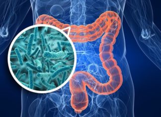 Gut bacteria ‘boost’ cancer therapy by James Gallagher