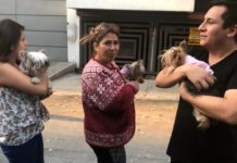 Magnitude 7.2 earthquake hits south and central Mexico