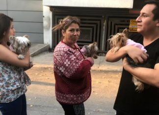 Magnitude 7.2 earthquake hits south and central Mexico