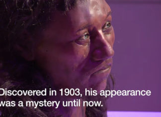 Cheddar Man: DNA shows early Briton had dark skin