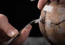 Swedish archaeologists uncover brutal 5th century massacre