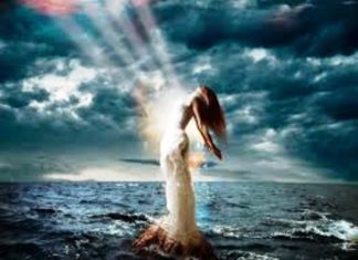 Is the Law of Attraction Real? What is the Real Secret?