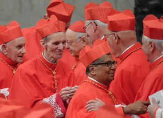 Male Escort Exposes 36 Gay Priests in File Sent to Vatican Containing Explicit WhatsApp Chats and Erotic Photos