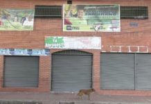 Tear gas explosion at Caracas club results in 17 deaths – minister