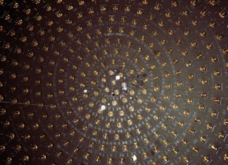 Evidence Found for a New Fundamental Particle