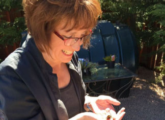 Woman Rescues Wingless Queen Bee And Their Friendship Will Make Your Day