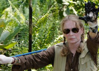 Top Ecuador court upholds $9 billion ruling against Chevron