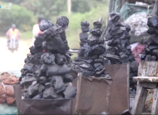 Kenya’s ban on charcoal production affects millions