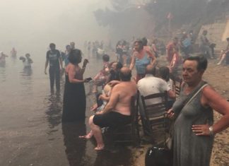 Rescuers scour scorched towns after Greece wildfires kill at least 81