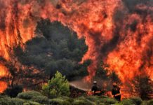‘Serious’ signs arson started wildfire in Greek town built like ‘fire trap’