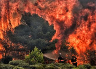 ‘Serious’ signs arson started wildfire in Greek town built like ‘fire trap’