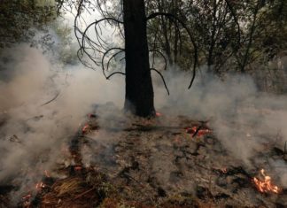 Death toll rises as California wildfire spreads