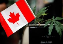 Canada legalises marijuana, but illegal edibles are a headache